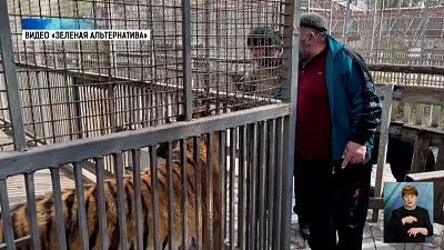 Карен Даллакян помог животным Мариуполя