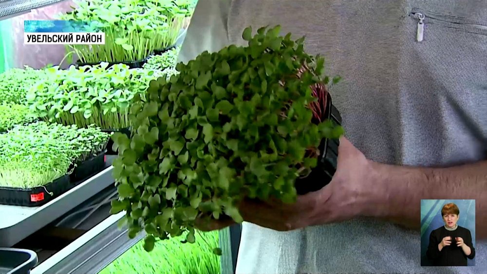 Бизнесмены с ОВЗ получат новые льготы