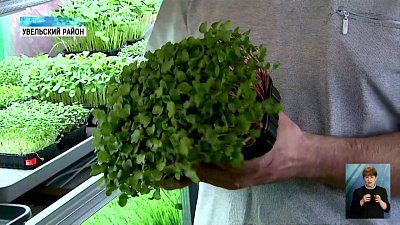 Бизнесмены с ОВЗ получат новые льготы