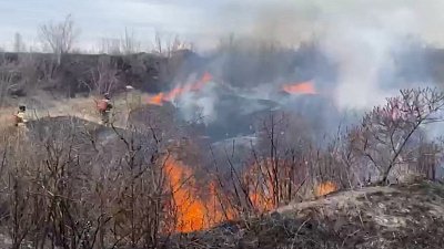 В Челябинской области с начала 2022 года произошли сотни природных пожаров