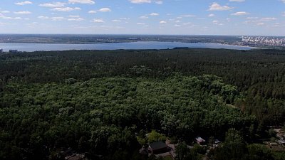 Красоты Челябинской области — городской челябинский бор