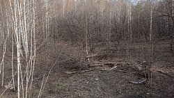 В Челябинске прошли публичные слушания проекта крытого катка УралГУФК