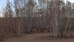 В Челябинске прошли публичные слушания проекта крытого катка УралГУФК