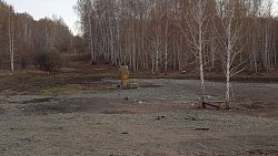 В Челябинске прошли публичные слушания проекта крытого катка УралГУФК