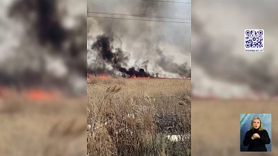В Копейске трава вспыхнула рядом с частным сектором