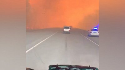 В Курганской области бушуют лесные пожары