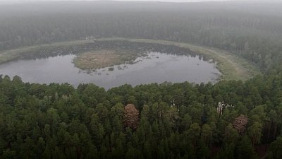 Красоты Челябинской области — Еткульский бор