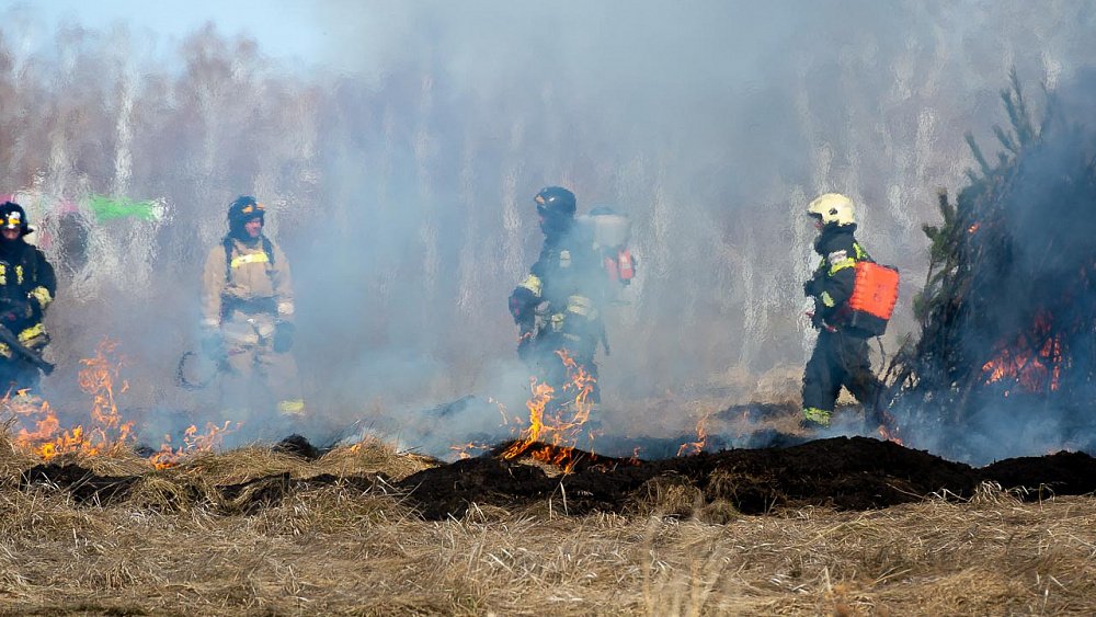 В Челябинской области ввели особый противопожарный режим