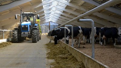 Миасский сельхозкооператив инвестировал в молочную ферму 150 млн рублей