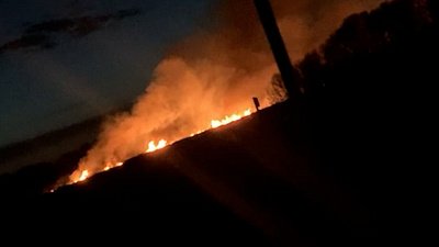 Видео лесного пожара возле Чебаркуля