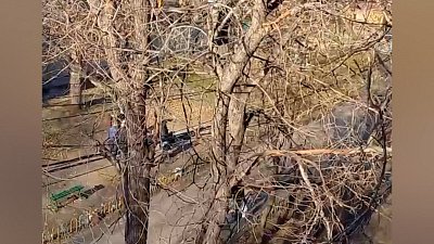 Челябинцы жалуются на нетрезвые компании во дворах