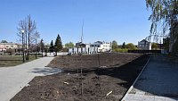 В Троицке высадят более 200 деревьев в сквере памяти участников ВОВ