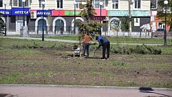 В Троицке высадят более 200 деревьев в сквере памяти участников ВОВ