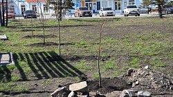 В Троицке высадят более 200 деревьев в сквере памяти участников ВОВ
