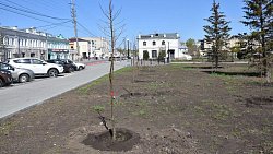 В Троицке высадят более 200 деревьев в сквере памяти участников ВОВ