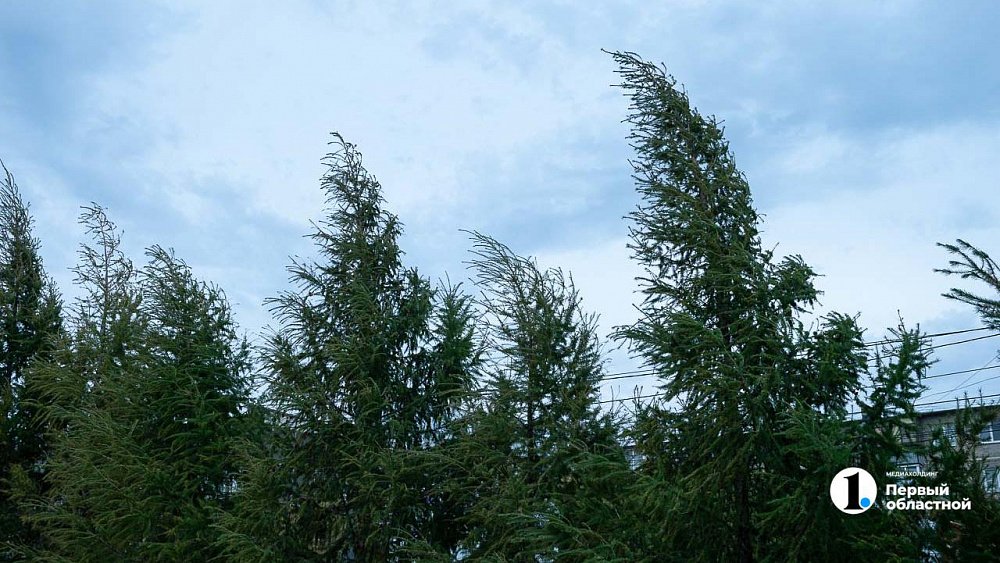 В Челябинской области прогнозируют резкое похолодание и штормовой ветер