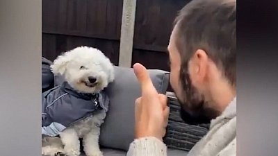 Мех и смех: плохие певцы и отличный актер