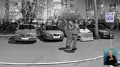 Челябинке разбили стекло на машине