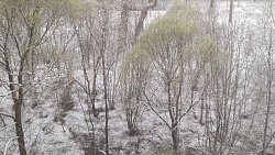 В горах Челябинской области выпал снег