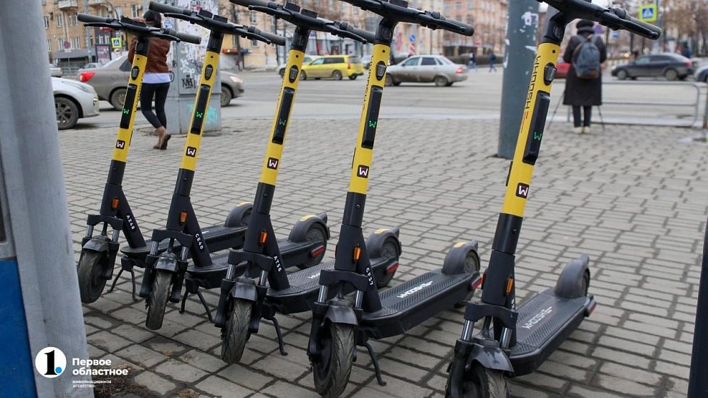 В Челябинский зоопарк запретили входить посетителям с самокатами