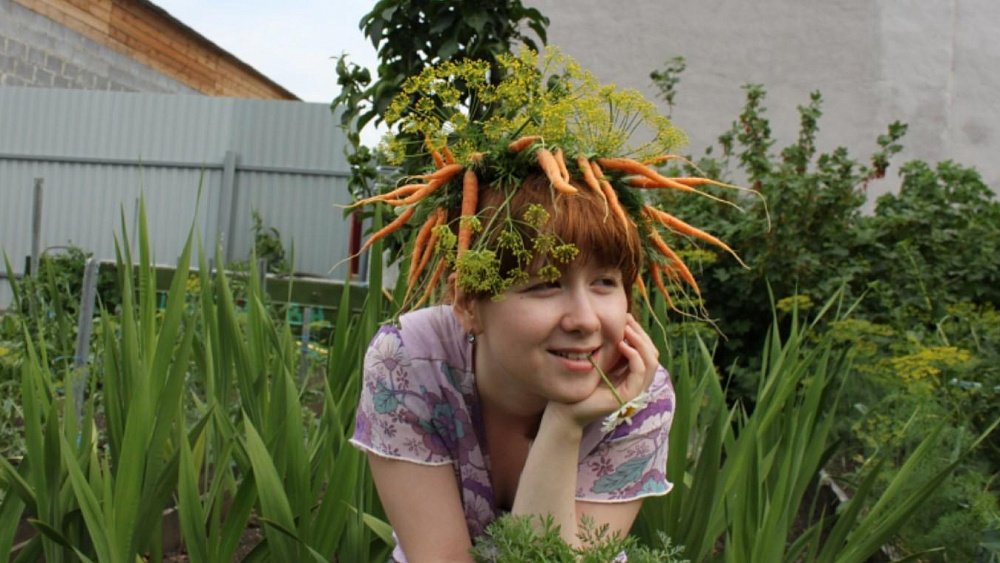 Как челябинцам получить бесплатно участок земли