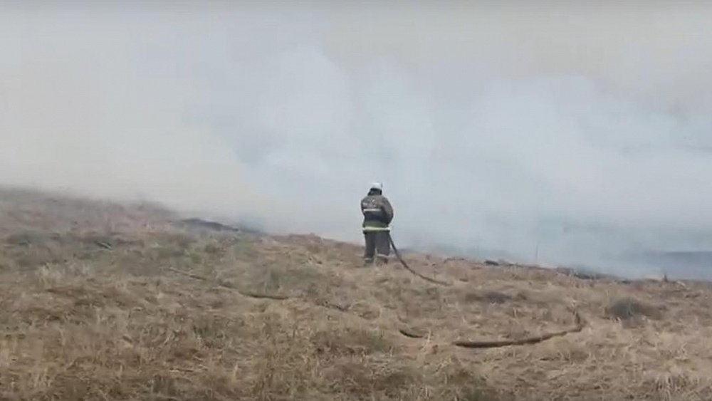 В Челябинской области огонь уничтожил 12 гектаров камыша