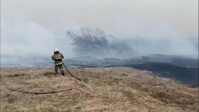В Кунашакском районе загорелся камыш возле поселка Маяк