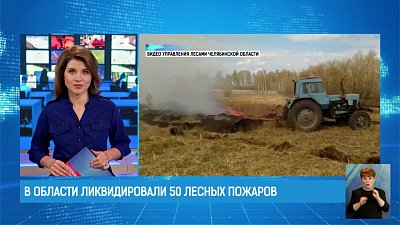 В области ликвидировали 50 лесных пожаров