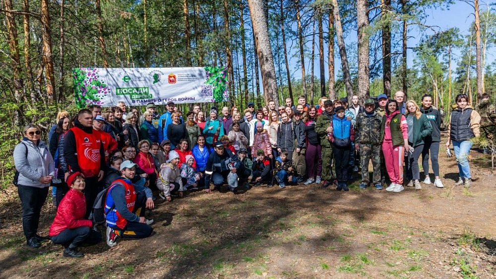 В Челябинском городском бору высадили более 4 тысяч сеянцев сосны