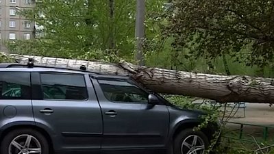 В Челябинске из-за сильного ветра на машину упало дерево