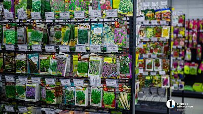 В Челябинской области — бум на семена, саженцы и садовый инструмент В Челябинской области — бум на семена, саженцы и садовый инструмент