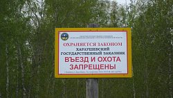 Неизвестные подожгли покрышки и утеплитель на территории Харлушевского заказника