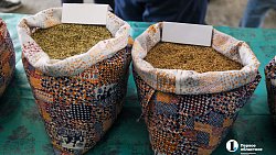 В Верхнеуральском районе Алексею Текслеру представили «сильные» семена