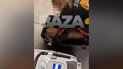 Породистый пес погиб во время перелета из Челябинска в Москву