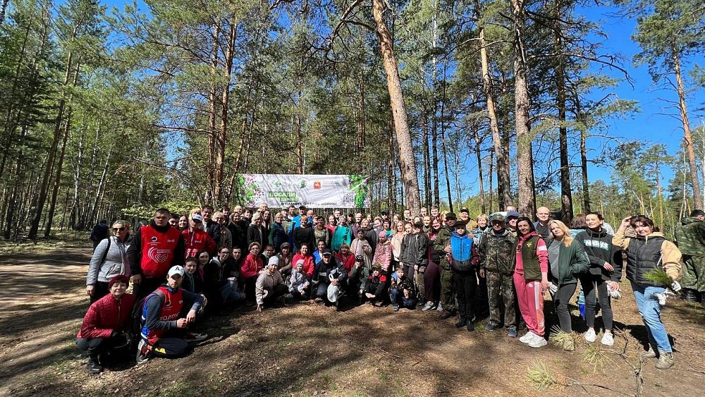 На Южном Урале на акции «Сад памяти» посадили 550 тысяч деревьев