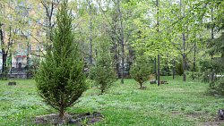 В горсаду им. Пушкина отремонтировали летнюю сцену