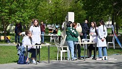 Семейный фестиваль «Пикник на Алом» проходит в Челябинске