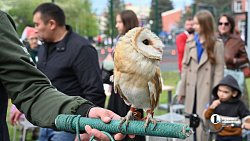 Семейный фестиваль «Пикник на Алом» проходит в Челябинске