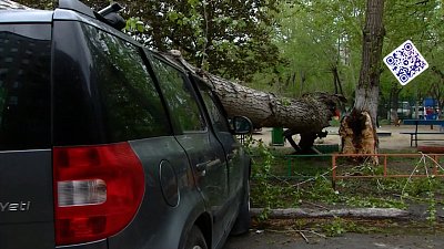 Происшествия недели 14.05.2022