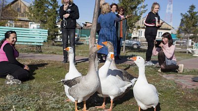 Минсельхоз начал прием заявок на получение грантов в сфере агротуризма