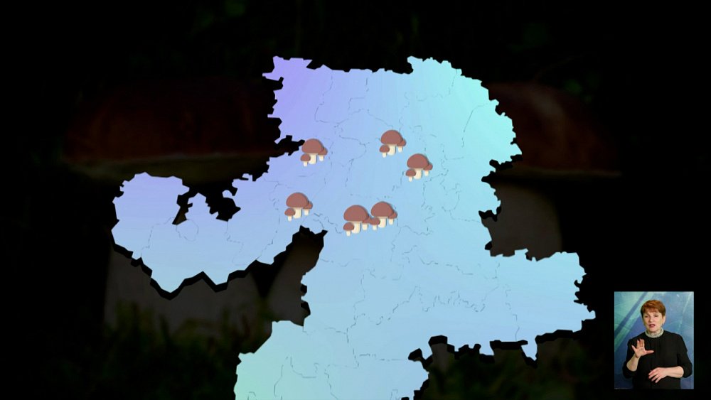 На Южном Урале начинается грибной сезон