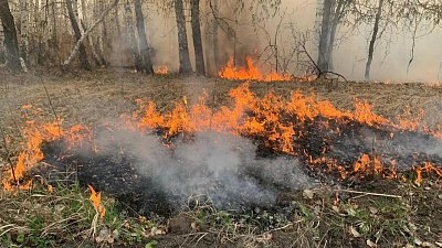 Видео горящей травы в Кунашакском районе