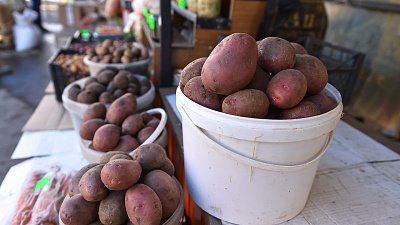 В Челябинской области на треть сократилась продажа картофеля