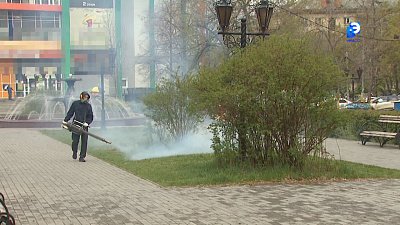Город дезинфицируют от клещей