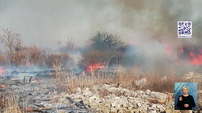 Лесной пожар едва не уничтожил целый поселок