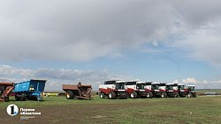 Семья фермеров обеспечивает Челябинскую область маслом и макаронами