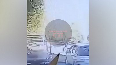 В Челябинске стая бездомных собак напала на нескольких людей