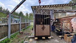 Из придорожного кафе возле Сатки медведь Малыш переедет в Челябинский зоопарк