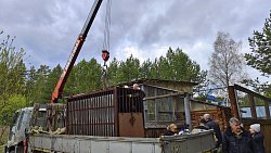 Из придорожного кафе возле Сатки медведь Малыш переедет в Челябинский зоопарк