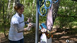 В Челябинском бору волонтеры начали благоустройство тропы пенсионеров